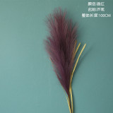 Cross border decoration ins wind wholesale crafts reed grass simulation flower manufacturer  flower green plant wedding