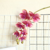 2021Artificial flower plant bonsai wedding decoration ins wind simulation plant Phalaenopsis