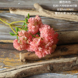 2021Rice fruit succulent plant plant wall family decoration wedding simulation flower 6 large cauliflower