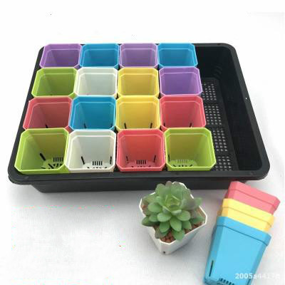 Succulents Plant Seeds Germination Tray Nursery Pots Succulent Planter Flower Pot with Lids Hydroponic Grow Box Seedling Tray