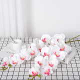 9 Phalaenopsis flowers are placed in the decoration flower room of the simulated green plant wedding hall
