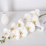 9 Phalaenopsis flowers are placed in the decoration flower room of the simulated green plant wedding hall