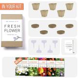Seeding Cup Garden Plants Nursery Paper Pots Biodegradable Seedling Peat Cups Sprigging Cup Flowerpot Suit