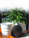 Factory Wholesale Plastic Root Control Flower Pot Thick Resin Breathable Household Potted Flowers Large Flower Pot