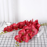 9 Phalaenopsis flowers are placed in the decoration flower room of the simulated green plant wedding hall