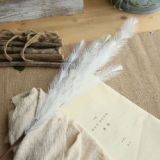 Korean imitation flower manufacturer family decoration wedding holding flowers road guide flower wall Maomao grass