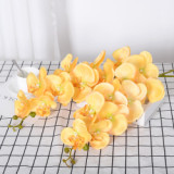 9 Phalaenopsis flowers are placed in the decoration flower room of the simulated green plant wedding hall