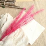 Korean imitation flower manufacturer family decoration wedding holding flowers road guide flower wall Maomao grass