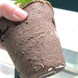 100 Pcs Garden Plants  Nursery  Paper Pots Biodegradable  Seeding  Peat Cups
