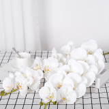 9 Phalaenopsis flowers are placed in the decoration flower room of the simulated green plant wedding hall