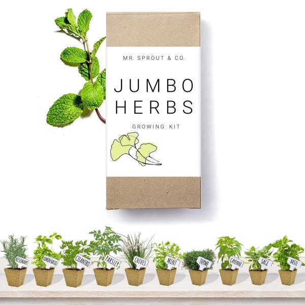 Seeding Cup Garden Plants Nursery Paper Pots Biodegradable Seedling Peat Cups Sprigging Cup Flowerpot Suit