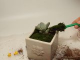 7pcs Succulent Transplanting Miniature Fairy Garden Planting Gardening Hand Tools Set