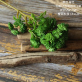 2021Rice fruit succulent plant plant wall family decoration wedding simulation flower 6 large cauliflower