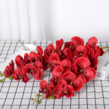 9 Phalaenopsis flowers are placed in the decoration flower room of the simulated green plant wedding hall