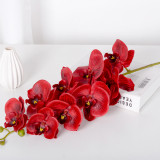 9 Phalaenopsis flowers are placed in the decoration flower room of the simulated green plant wedding hall