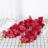 9 Phalaenopsis flowers are placed in the decoration flower room of the simulated green plant wedding hall