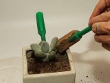 7pcs Succulent Transplanting Miniature Fairy Garden Planting Gardening Hand Tools Set