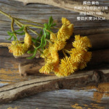2021Rice fruit succulent plant plant wall family decoration wedding simulation flower 6 large cauliflower