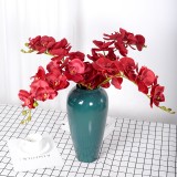 9 Phalaenopsis flowers are placed in the decoration flower room of the simulated green plant wedding hall