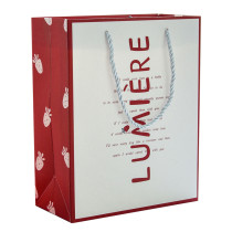 Wholesale Cheap Price Luxury Famous Brand Gift Custom Printed Shopping Paper Bag With Your Own Logo