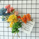2021Rice fruit succulent plant plant wall family decoration wedding simulation flower 6 large cauliflower