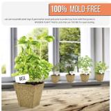 Seeding Cup Garden Plants Nursery Paper Pots Biodegradable Seedling Peat Cups Sprigging Cup Flowerpot Suit