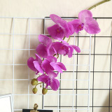 2021Artificial flower plant bonsai wedding decoration ins wind simulation plant Phalaenopsis