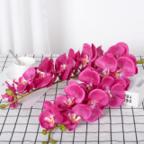 9 Phalaenopsis flowers are placed in the decoration flower room of the simulated green plant wedding hall