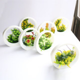 Lovely Artificial Plants with Pot Simulation Succulents Mini Bonsai Potted Placed Green Fake Plants Table Decoration