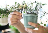 Hanging Flower Pot Green Plant Pots Succulent Desktop Green Plant Pots