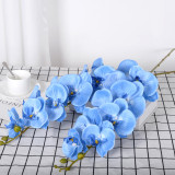 9 Phalaenopsis flowers are placed in the decoration flower room of the simulated green plant wedding hall
