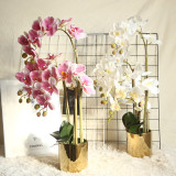 2021Artificial flower plant bonsai wedding decoration ins wind simulation plant Phalaenopsis