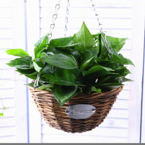 Hanging Orchid Pot Ornaments Hanging Rattan Woven Flower Pot Hanging Creative Hanging Rattan Hanging Basket Flower Pot