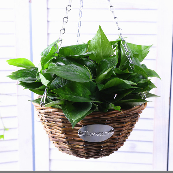 Hanging Orchid Pot Ornaments Hanging Rattan Woven Flower Pot Hanging Creative Hanging Rattan Hanging Basket Flower Pot