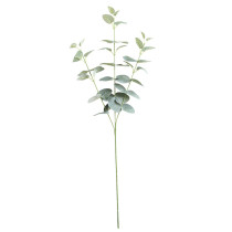 2021Eucalyptus ins Nordic money leaf simulation flower manufacturer family decoration wedding plant wall