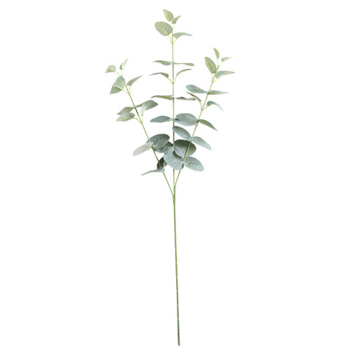 2021Eucalyptus ins Nordic money leaf simulation flower manufacturer family decoration wedding plant wall