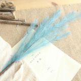 Korean imitation flower manufacturer family decoration wedding holding flowers road guide flower wall Maomao grass