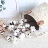 2021Manufacturer's family decoration wedding holding flower plant wall simulation flower 10 natural cotton branches