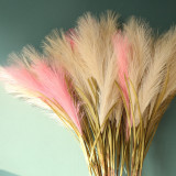 Cross border decoration ins wind wholesale crafts reed grass simulation flower manufacturer  flower green plant wedding
