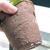 100 Pcs Garden Plants  Nursery  Paper Pots Biodegradable  seeding  peat cups