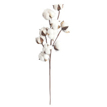 2021Manufacturer's family decoration wedding holding flower plant wall simulation flower 10 natural cotton branches