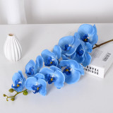 9 Phalaenopsis flowers are placed in the decoration flower room of the simulated green plant wedding hall