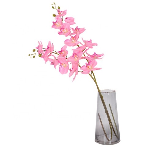 9 Phalaenopsis flowers are placed in the decoration flower room of the simulated green plant wedding hall
