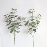 2021Eucalyptus ins Nordic money leaf simulation flower manufacturer family decoration wedding plant wall