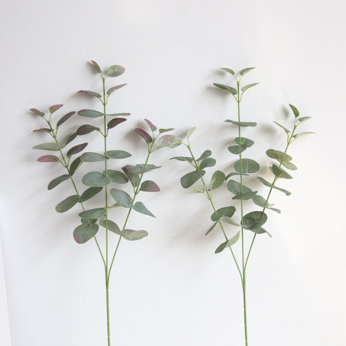 2021Eucalyptus ins Nordic money leaf simulation flower manufacturer family decoration wedding plant wall