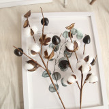 2021Simulation flower ins wind 5 cotton branch manufacturer dry flower family decoration wedding road guide flower