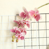 2021Artificial flower plant bonsai wedding decoration ins wind simulation plant Phalaenopsis