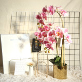 2021Artificial flower plant bonsai wedding decoration ins wind simulation plant Phalaenopsis