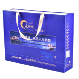 Exquisite handles shipping bag custom logo pajamas clothes packaging paper bags printing gift storage bags