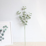 2021Eucalyptus ins Nordic money leaf simulation flower manufacturer family decoration wedding plant wall